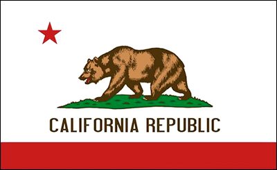 The California state flag